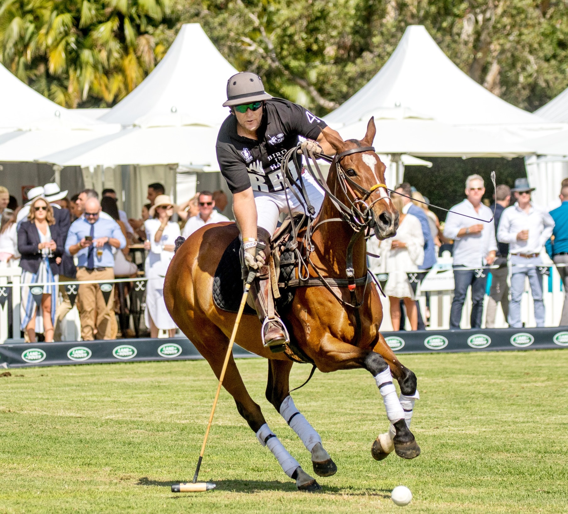 Sydney Land Rover 'Polo in the City' 2019 Where To Sydney